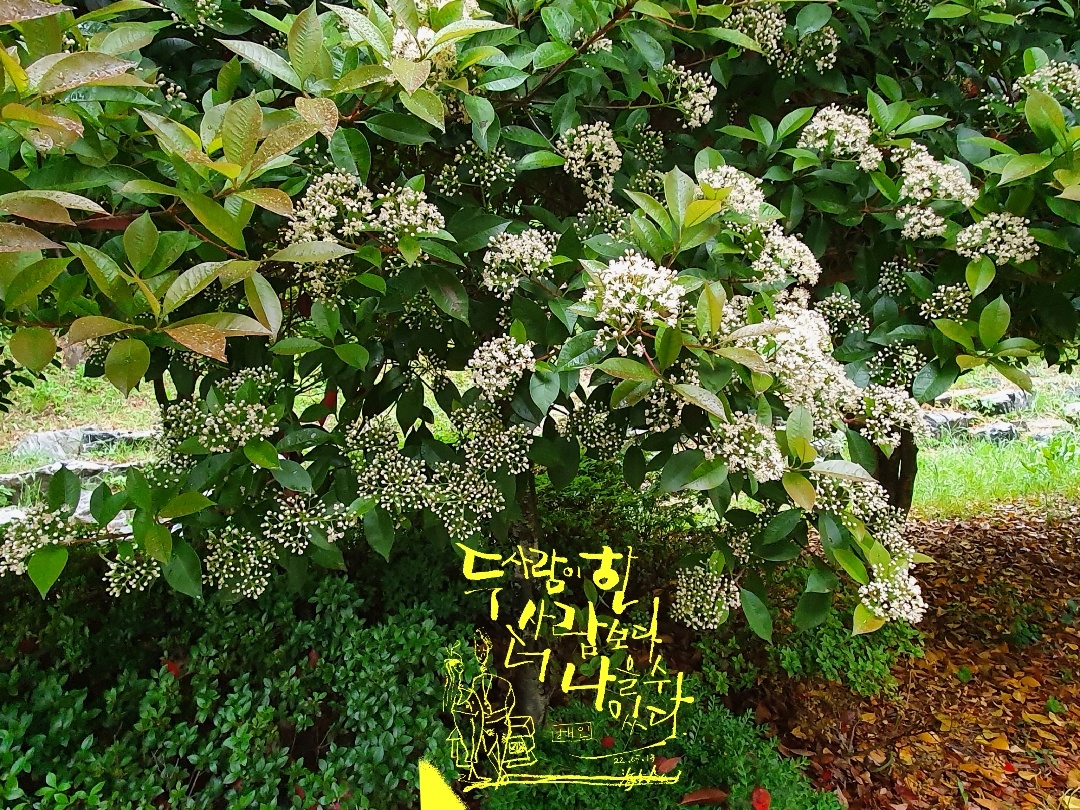 더나을 이미지
