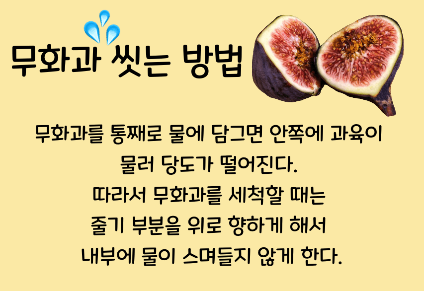 무화과 씻는 세척방법