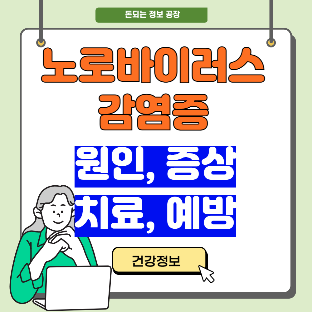 노로바이러스 원인 증상 치료 예방