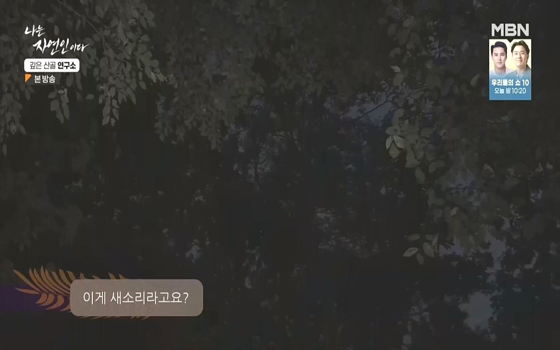 나는 자연인이다.E523.221013p.WANNA.mp4_20221013_201130.849.jpg