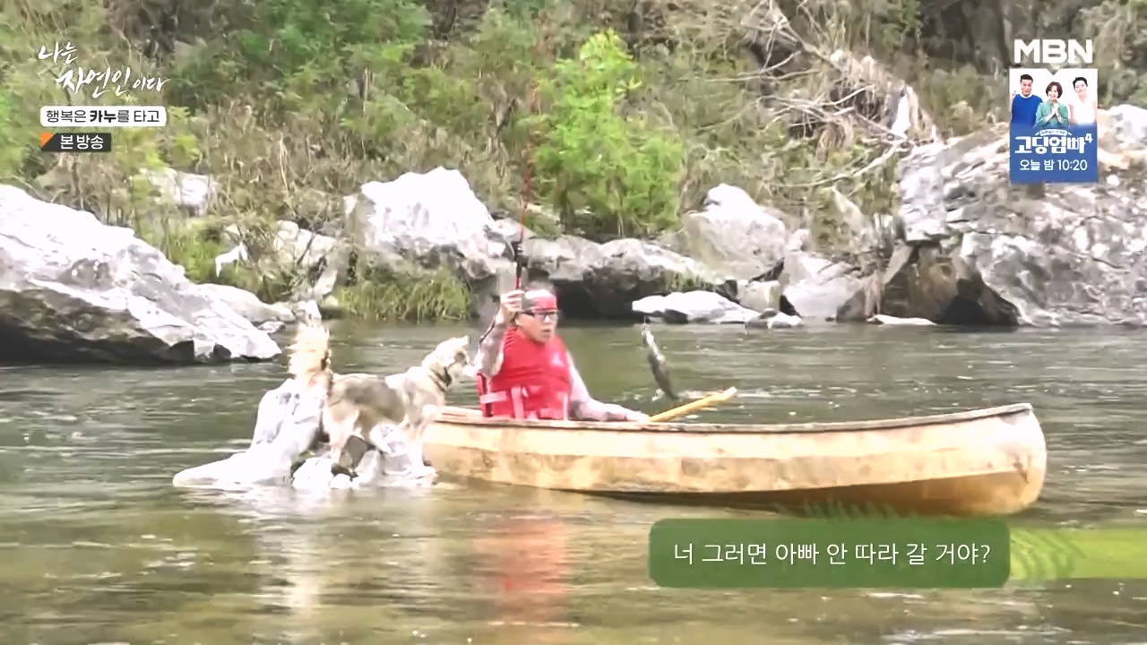 나는 자연인이다.E576.231019p-NEXT.mp4_20231019_201408.539.jpg