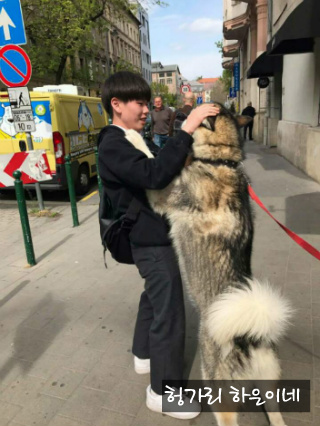 이모집 이미지