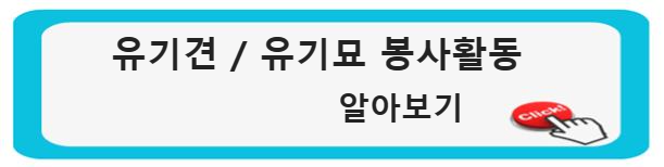 자원봉사: 새해 버킷리스트(Bucketlist) 유기묘 유기견 봉사활동 알아보기