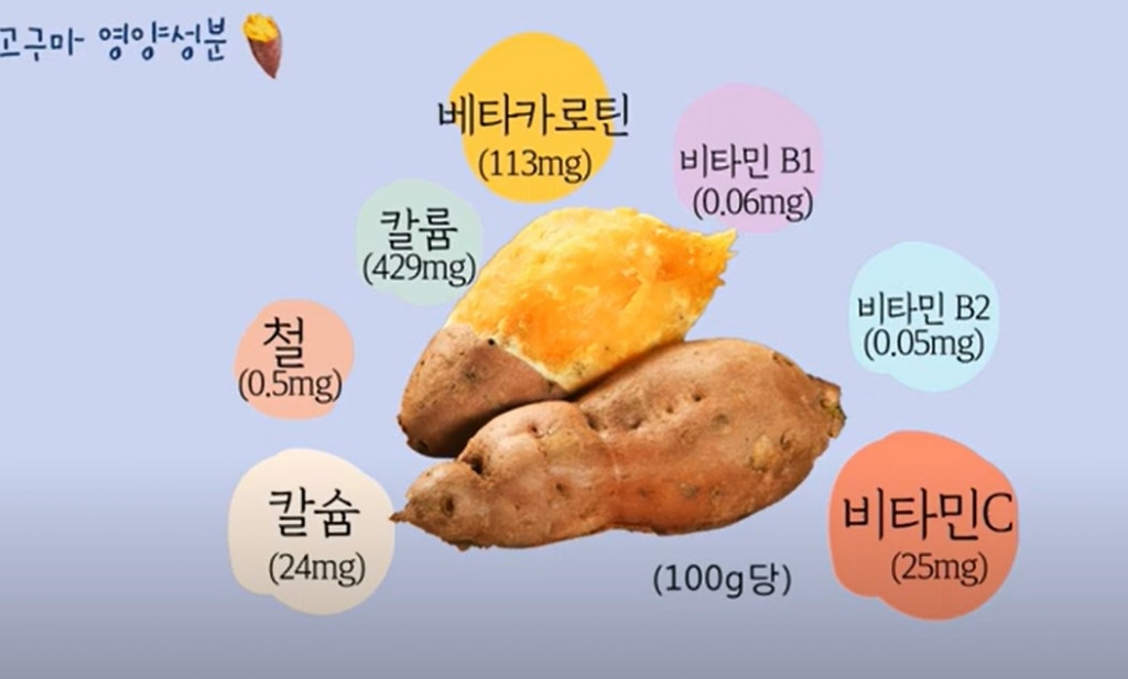 고구마 영양성분