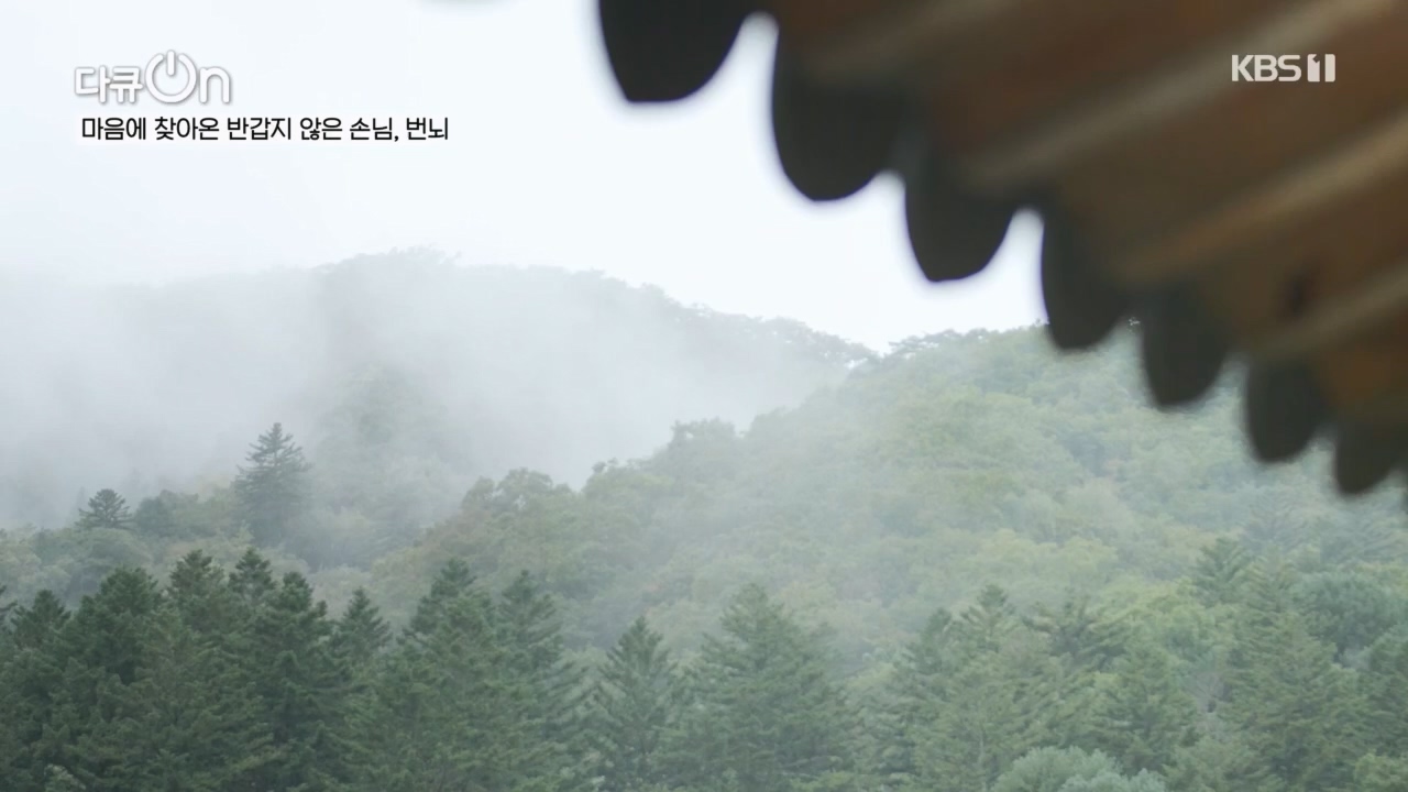 다큐 On.E221.231030p.H264-F1RST.mp4_20231031_202726.981.jpg