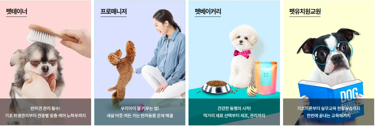 반려동물 관리분야