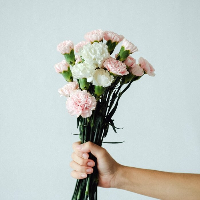 하얀꽃, 분홍꽃을 쥐고 있는 손