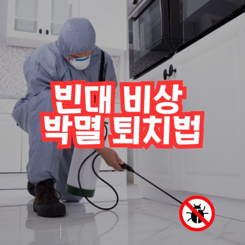 빈대박멸퇴치법