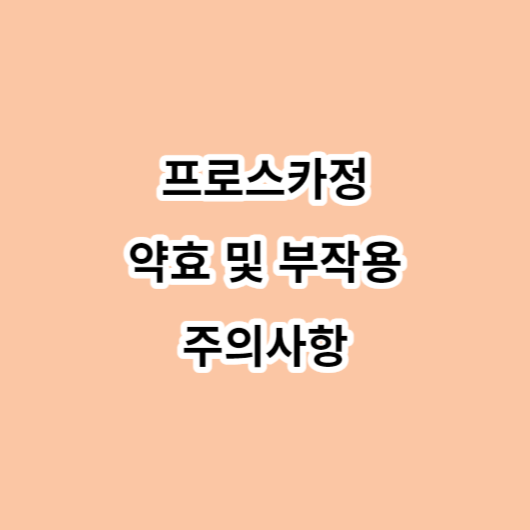 프로스카정 약효-부작용-주의사항