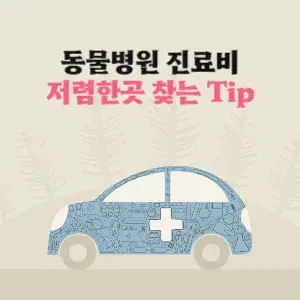 동물병원 진료비 확인하는 방법