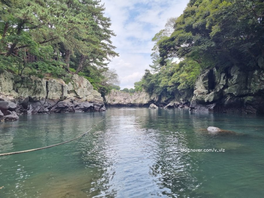 함께라면 전통테우 탑승 후기 제주 쇠소깍 어린 아이들과 24