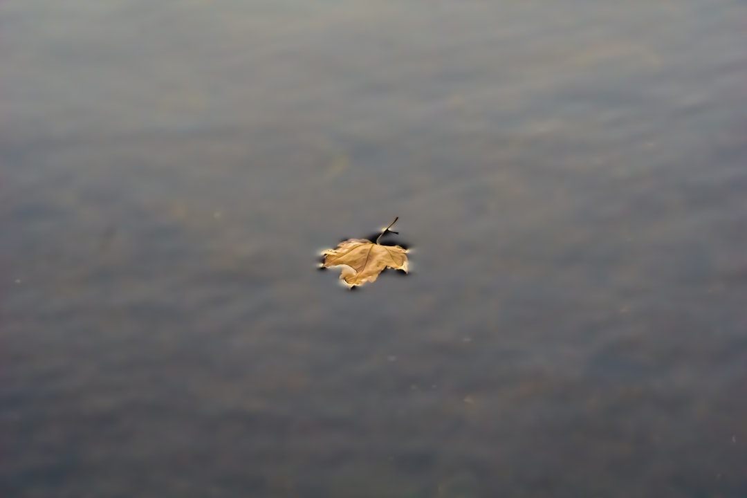 Floaters