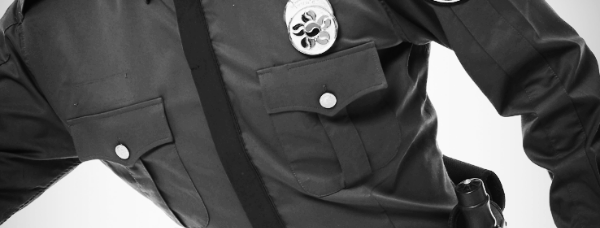 경찰행정학과 졸업후 진로: 경찰관