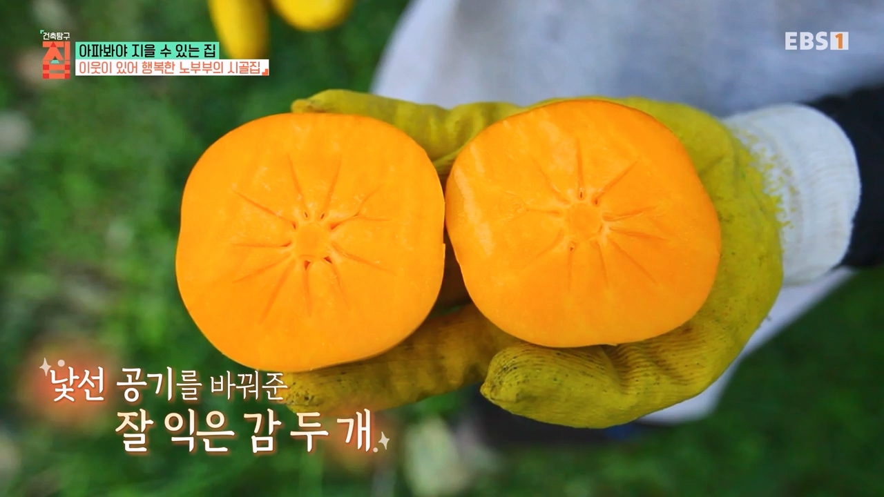 TV - 전 국민의 평생학교 EBS아파봐야 지을 수 있는 집.mp4_20230816_210553.367.jpg