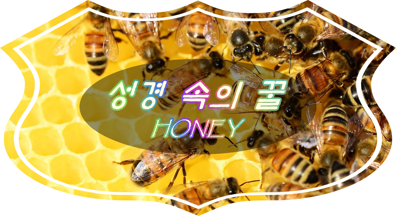 성경 음식 꿀 벌꿀