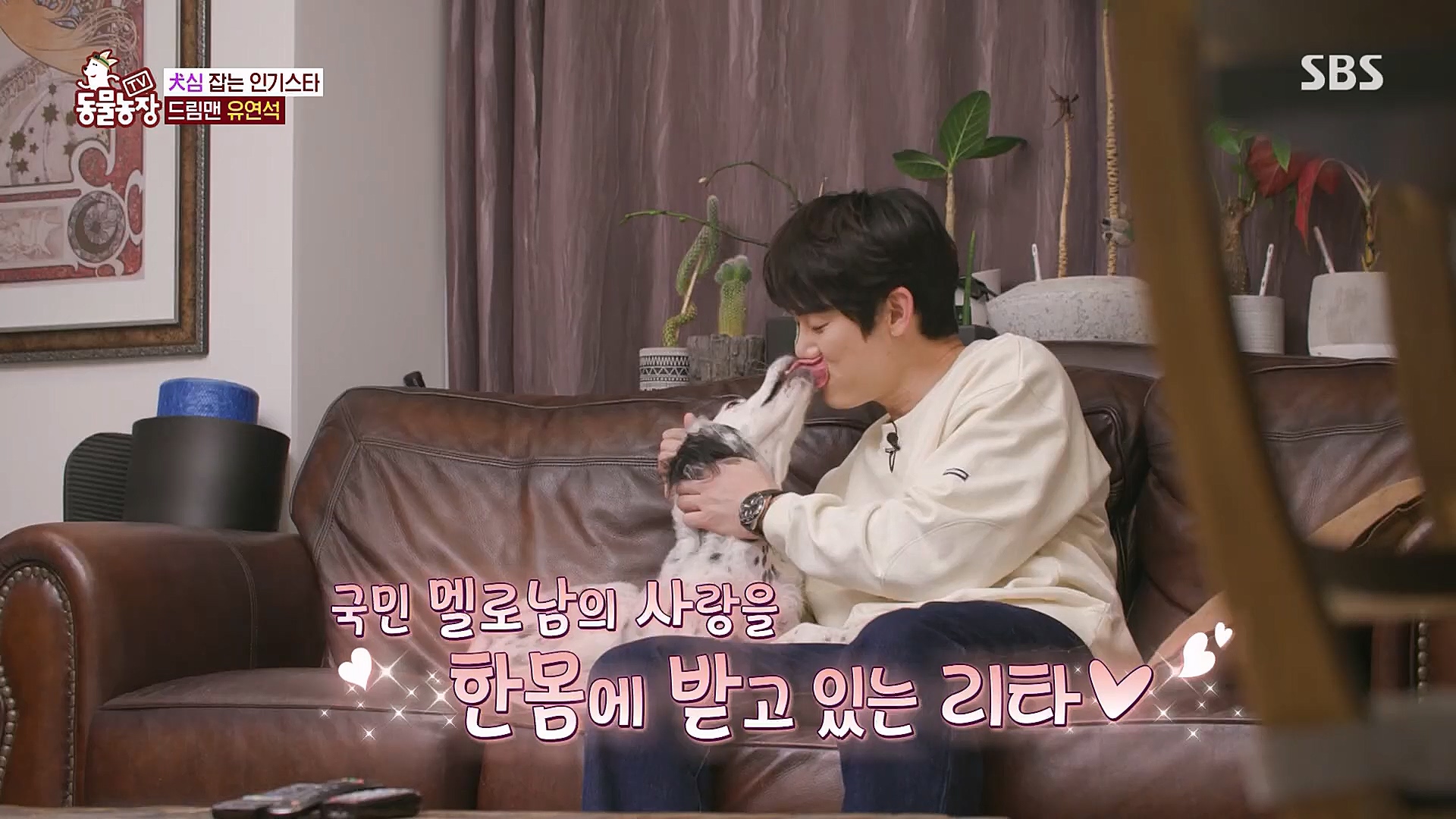 TV 동물농장.E1111.230312p.H264-F1RST.mp4_20230312_175953.195.jpg