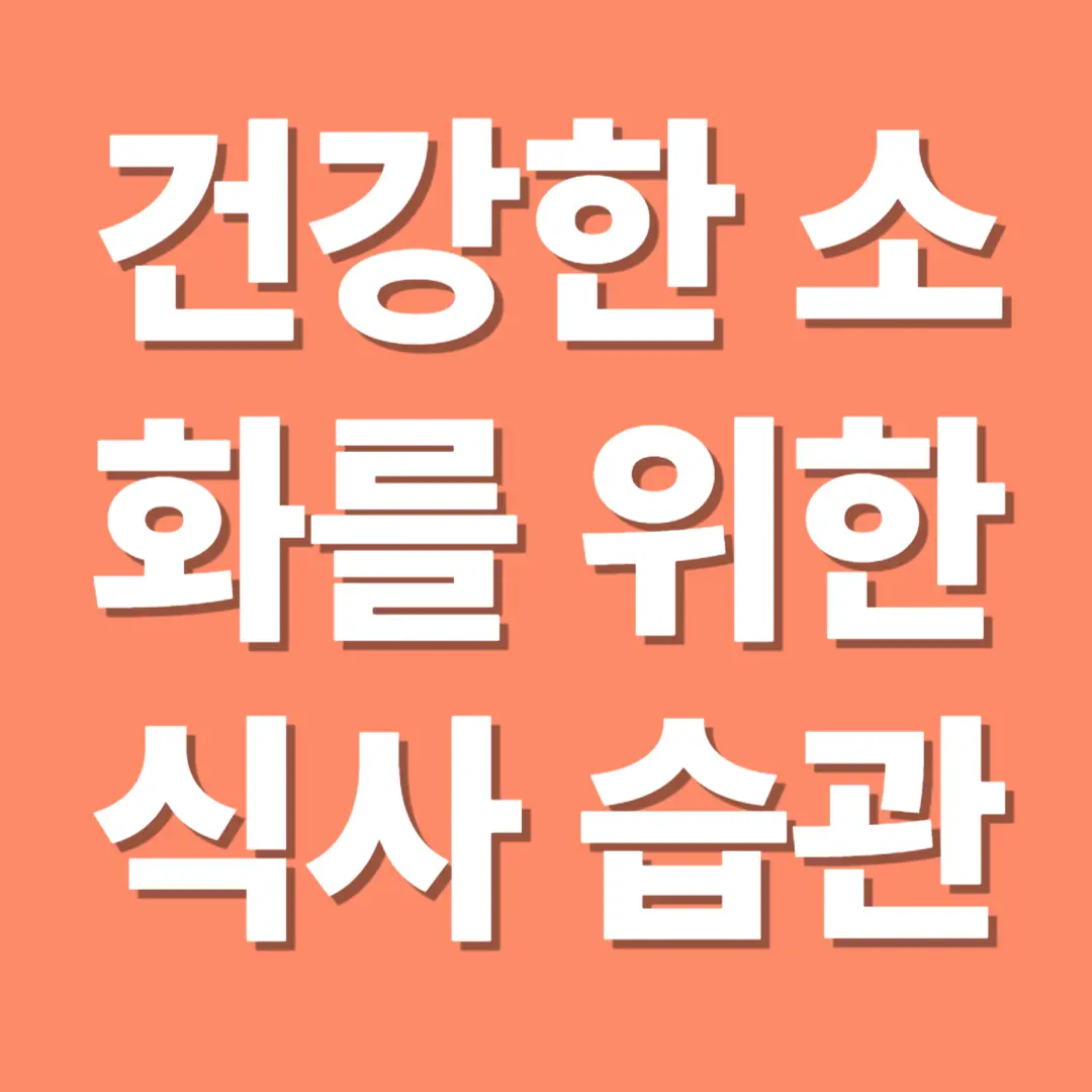 건강한 소화를 위한 식사 습관