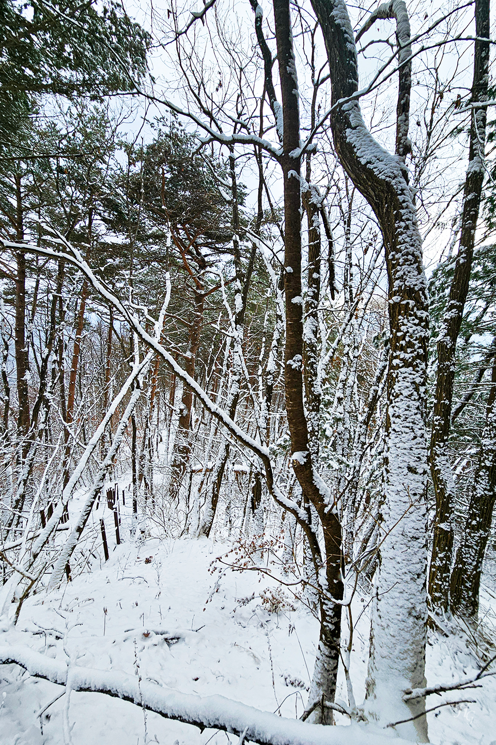 소백산국립공원 삼가동코스 이미지