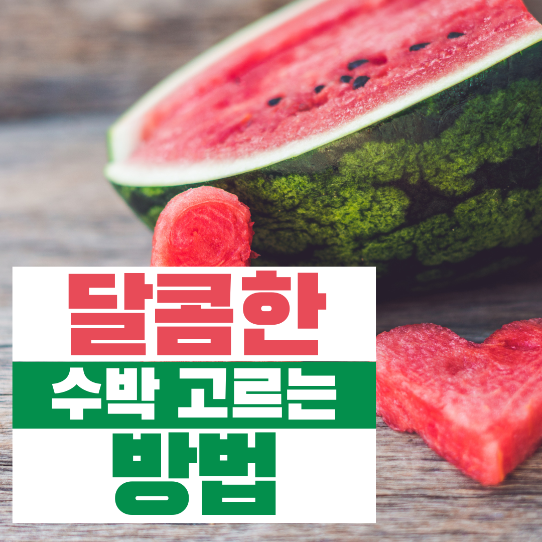 달콤한 수박 이미지