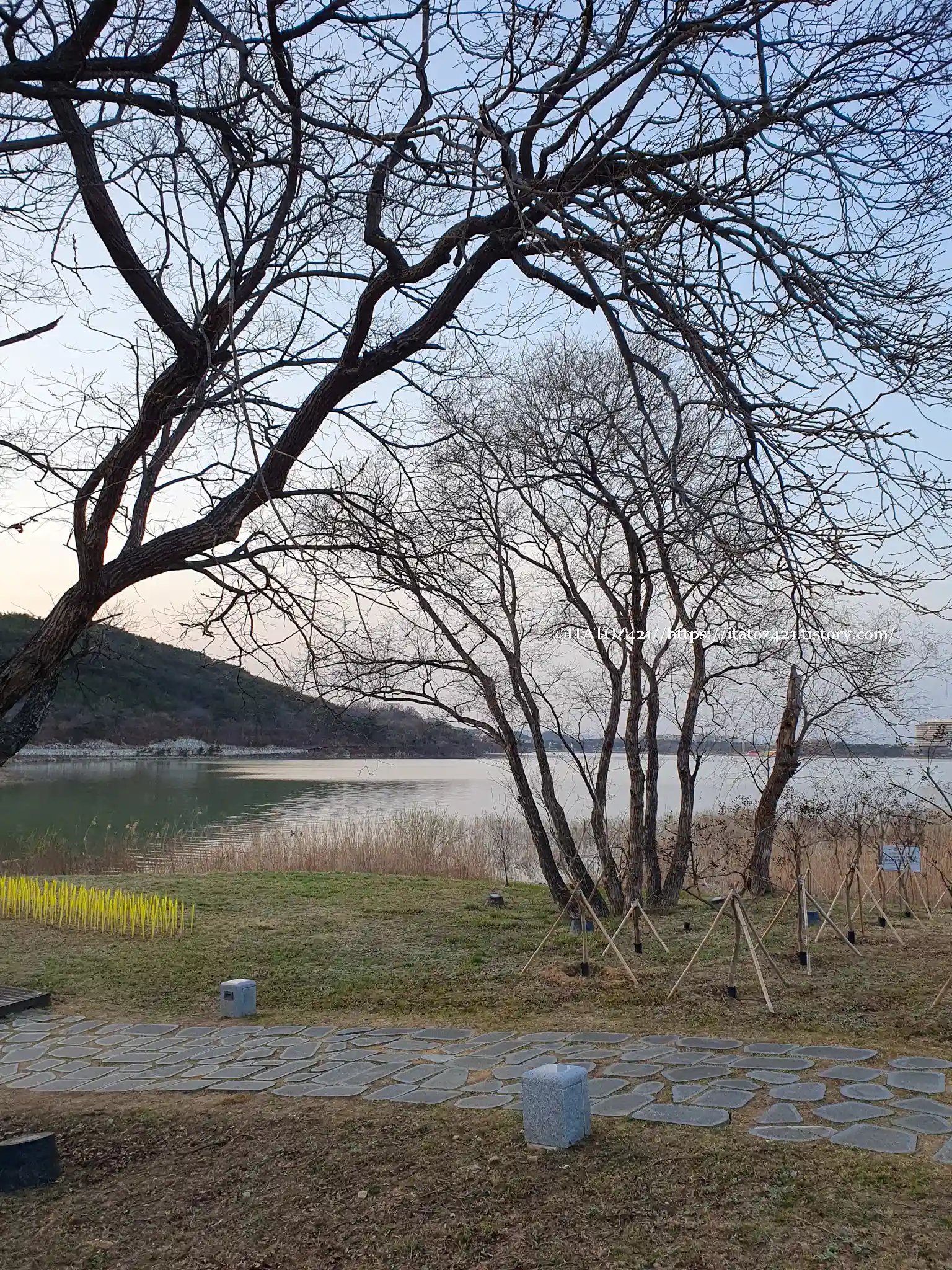 국내 벚꽃 여행 성지