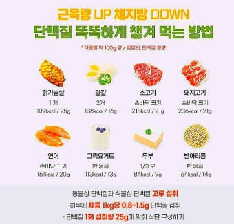 다이어트에 좋은 단백질 음식