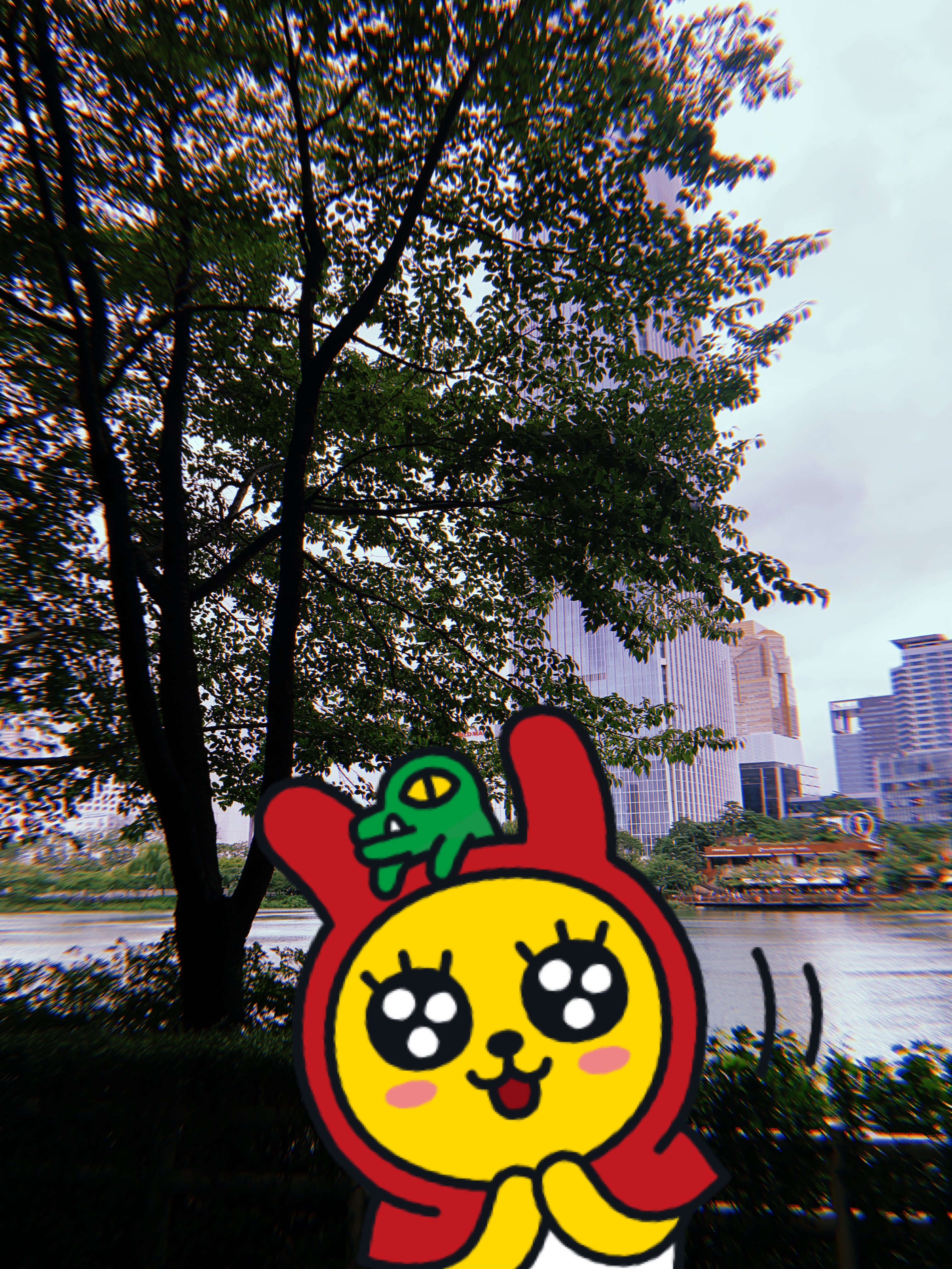  [어플] 필름카메라 어플 추천!! 후지캠!! Huji Cam 후기