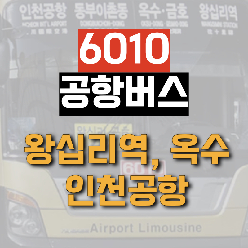 왕십리역에서 인천공항까지 운행하는 6010 공항버스 정보