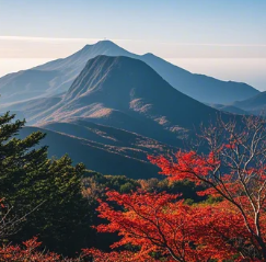 한라산단풍2