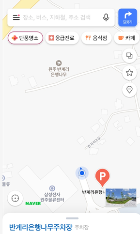 반계리 은행나무 주차장