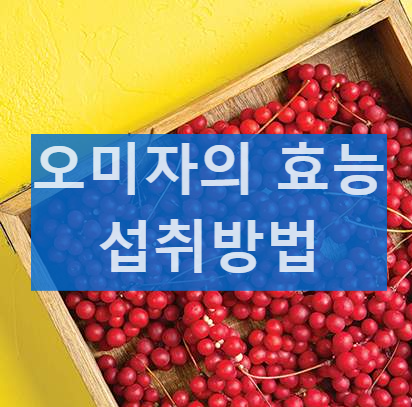 오미자의 6가지 효능 간기능 염증완화