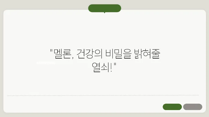 멜론의 소화 효능 : 장 건강을 위한 비법