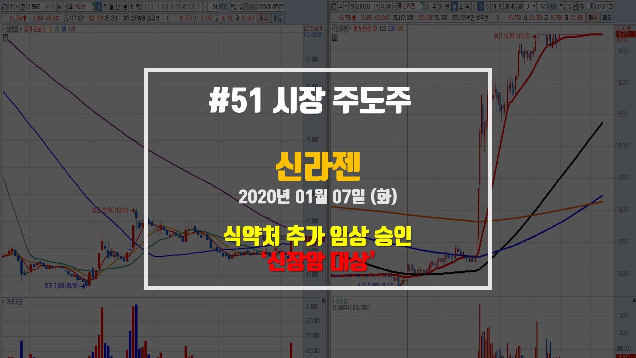  신라젠 - 돌아온 제약바이오 테마 대장주! 식약처 신장암 임상 추가 승인!