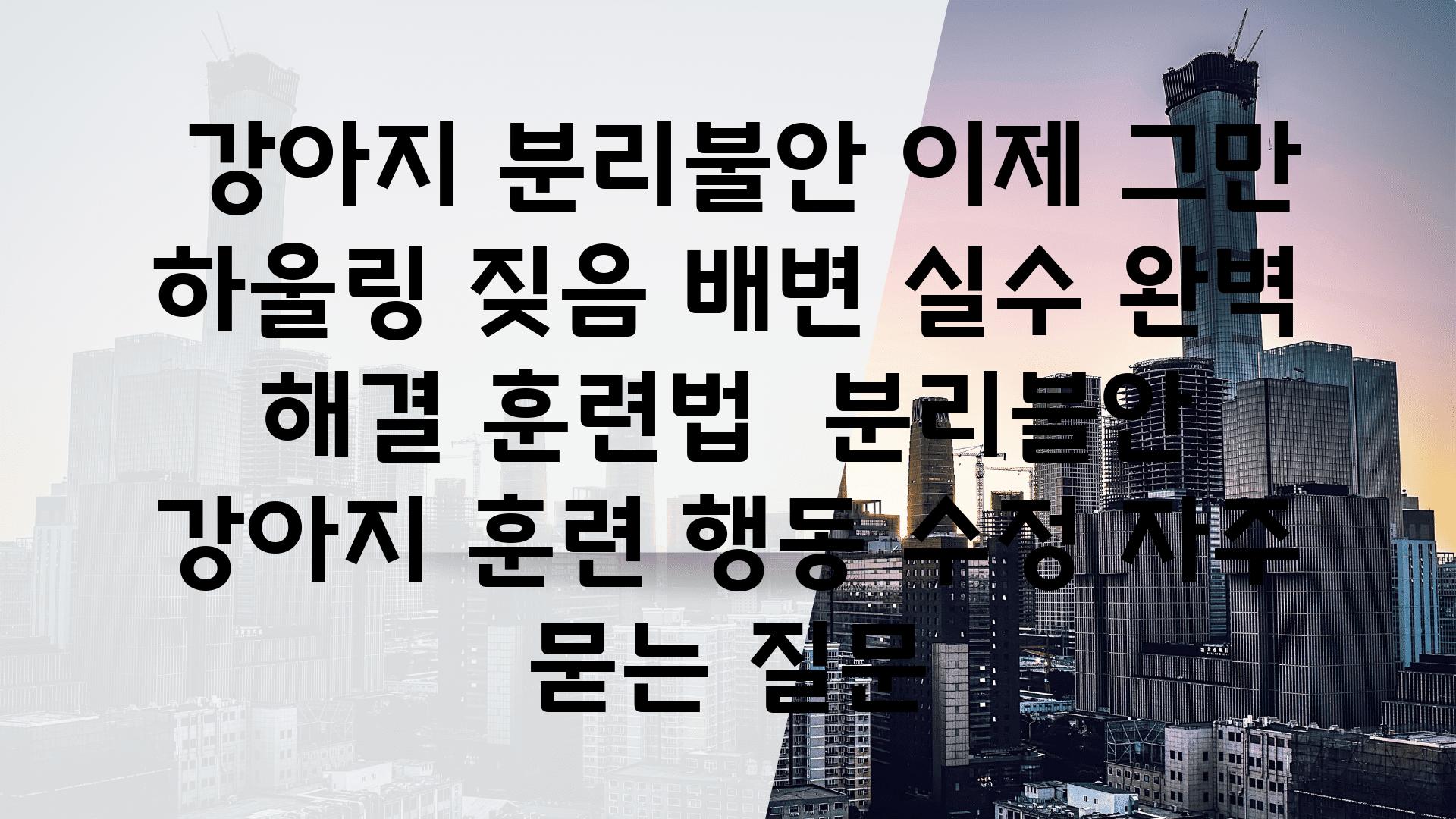  강아지 분리불안 이제 그만 하울링 짖음 배변 실수 완벽 해결 훈련법  분리불안 강아지 훈련 행동 수정 자주 묻는 질문