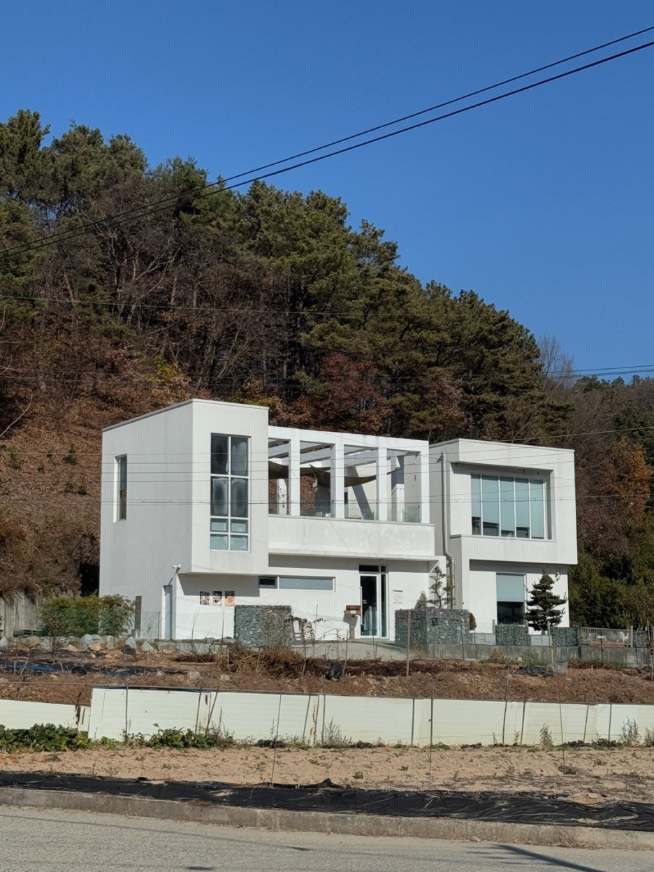 대전 투드커피 베이글 맛있는 관저동 애견 카페 - 시그니쳐 투드샷라떼