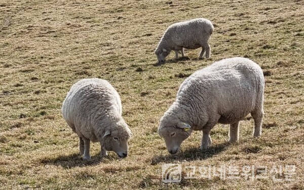 외삼촌 이미지