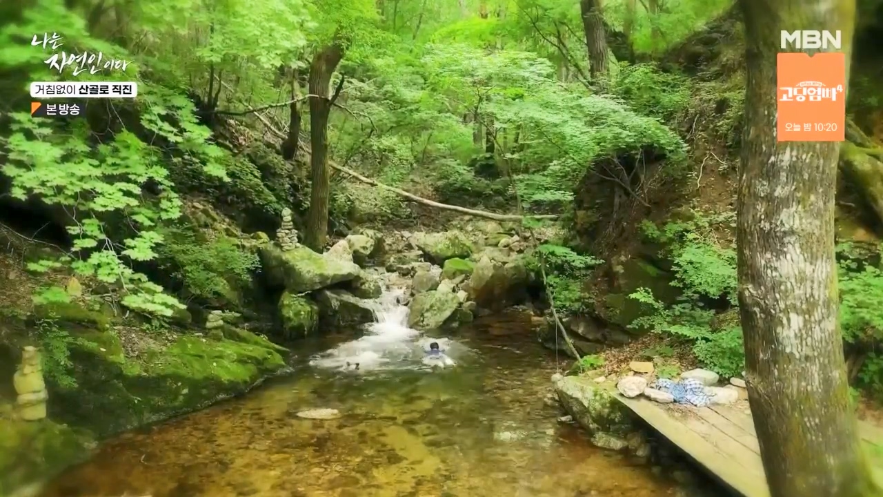 나는 자연인이다.E564.230727p-NEXT.mp4_20230727_211920.817.jpg