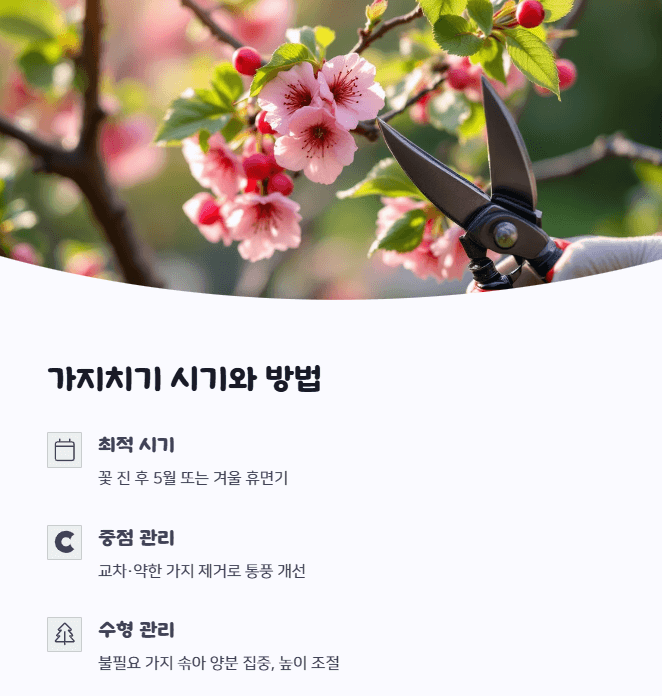 앵두나무 가지치기
