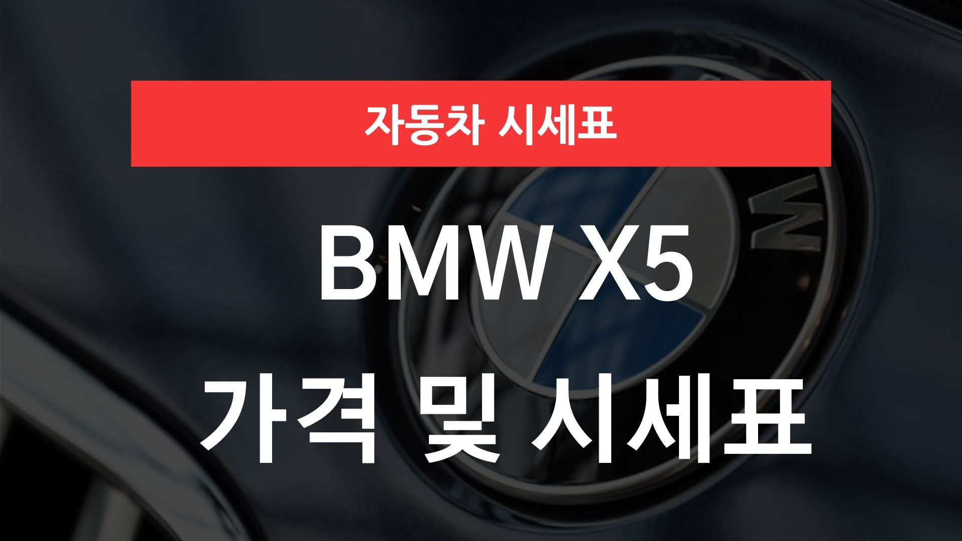 BMW X5 가격