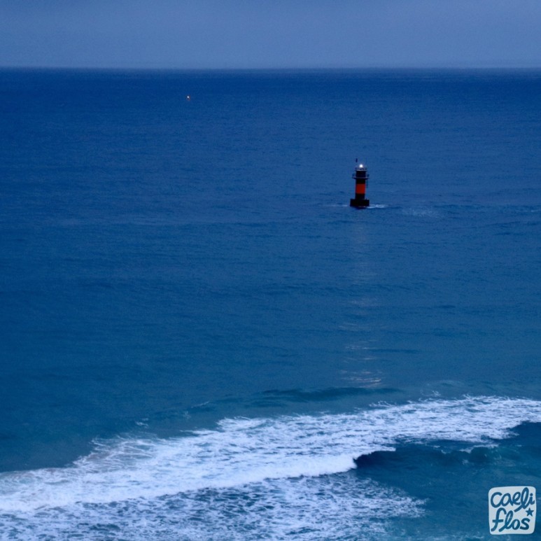 경포 쉬림프 버켓, 활어 회덮밥 12