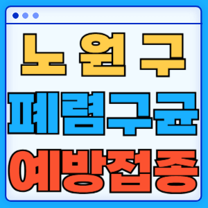 서울 노원구 폐렴구균 백신 무료 예방접종 비용지원 가격 신청방법 대상자 간격 13가 15가 20가 23가