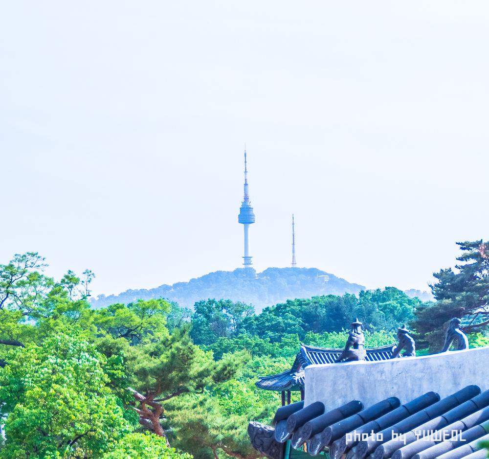  창경궁에서 바라본 남산타워