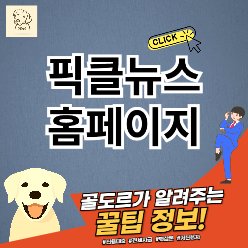픽클뉴스 홈페이지