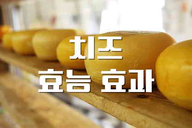 치즈 효능효과