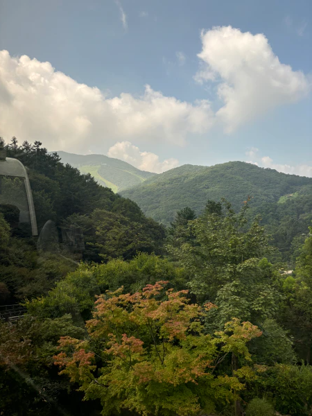 화담숲 예약 모노레일 예약