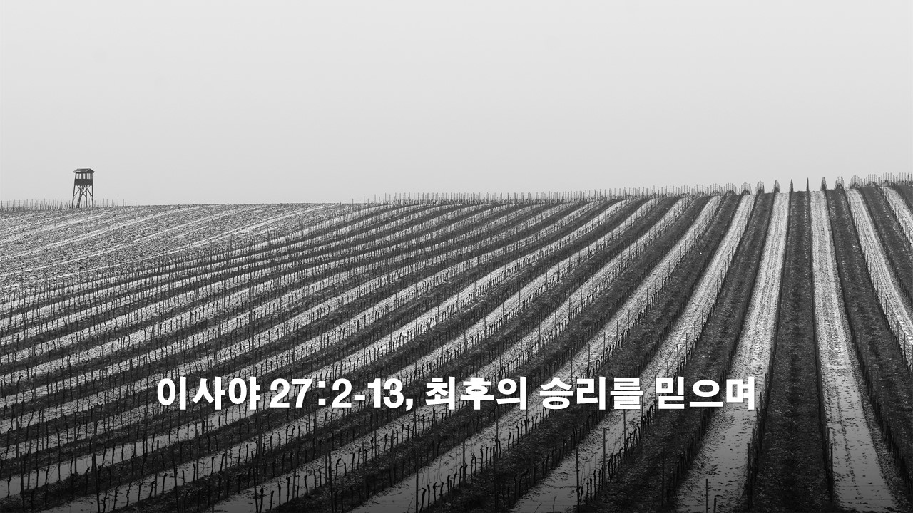  이사야 27:2-13, 최후의 승리를 믿으며 Believe in the final victory - 성서유니온 매일성경 말씀묵상 새벽설교