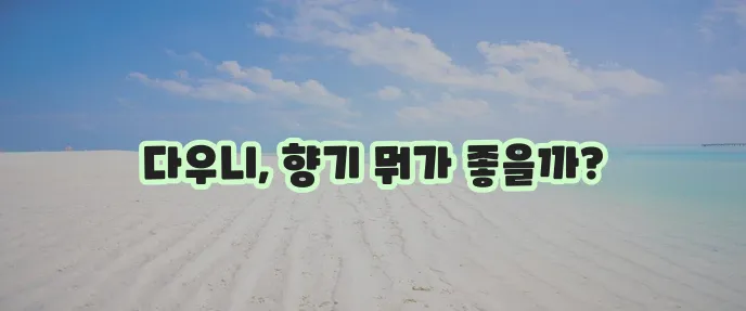 다우니 향기 순위와 섬유 유연제 특징 향기 추천을 알아보자!