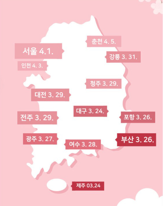  2022 전국 벚꽃 개화 지도