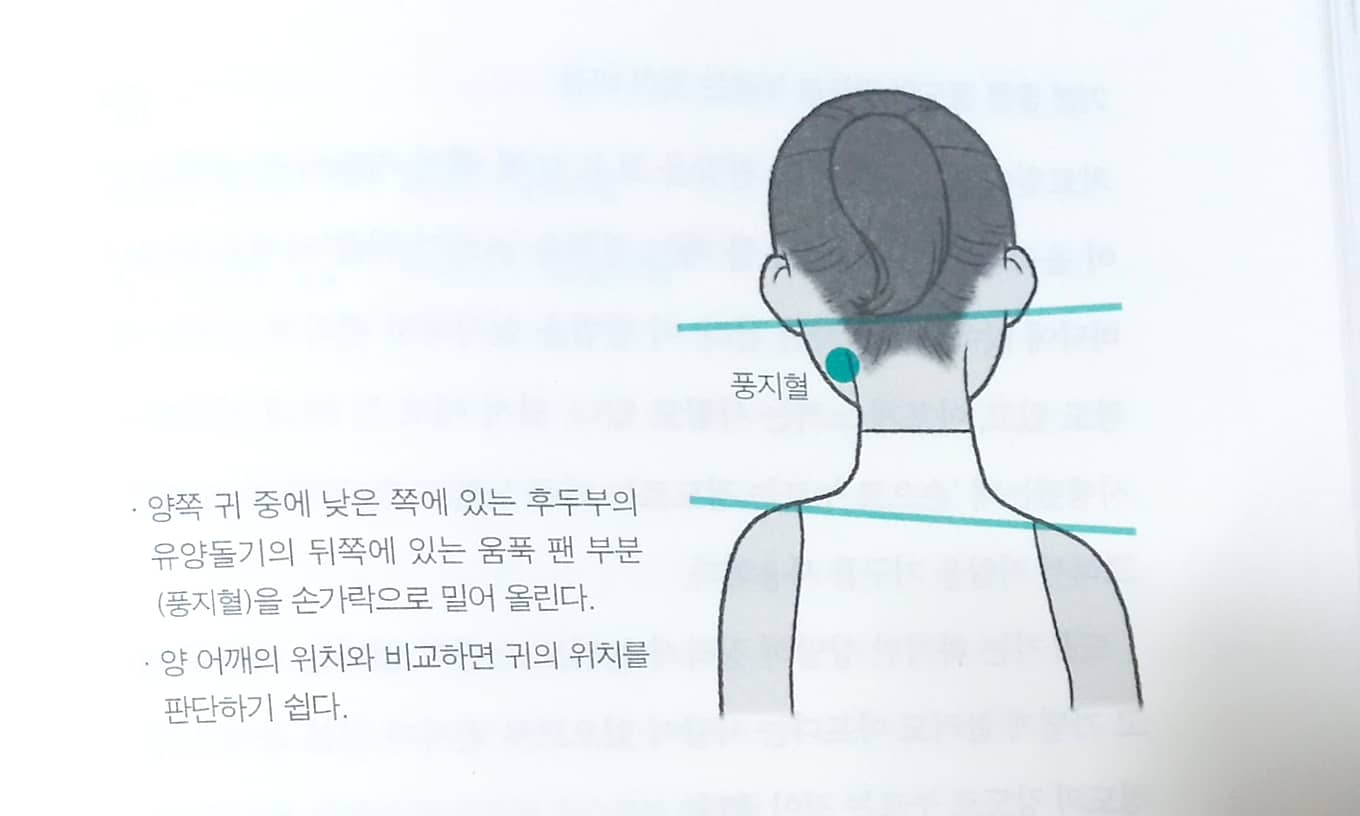 풍지혈누르기