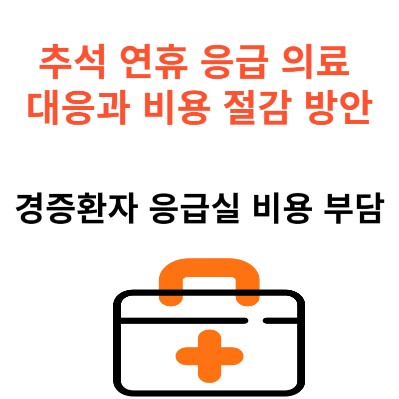 추석 연휴 응급 의료 대응과 비용 절감 방안