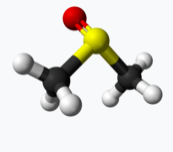 디메틸 설폭사이드 분자모형